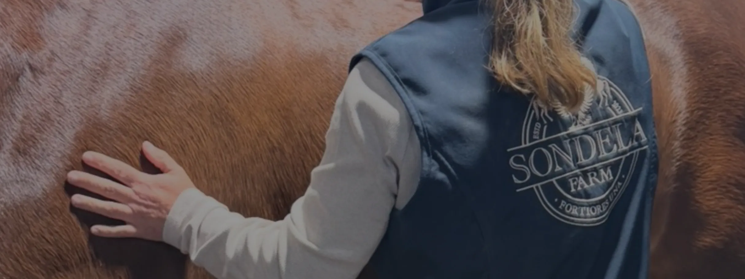 profile banner