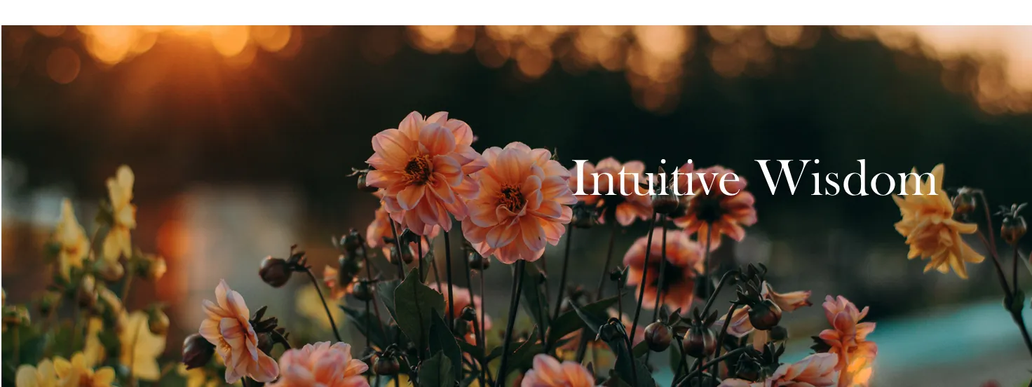 profile banner
