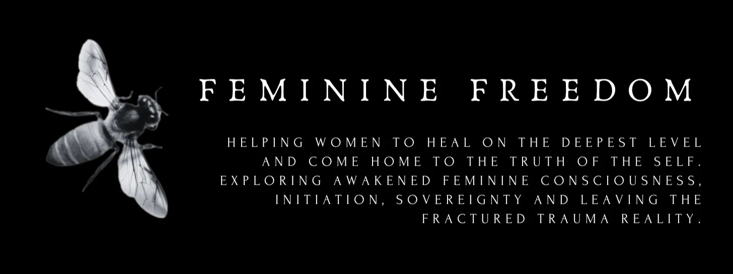profile banner