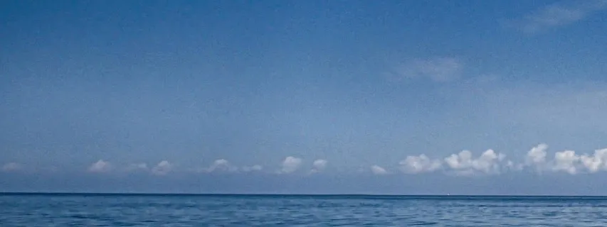 profile banner