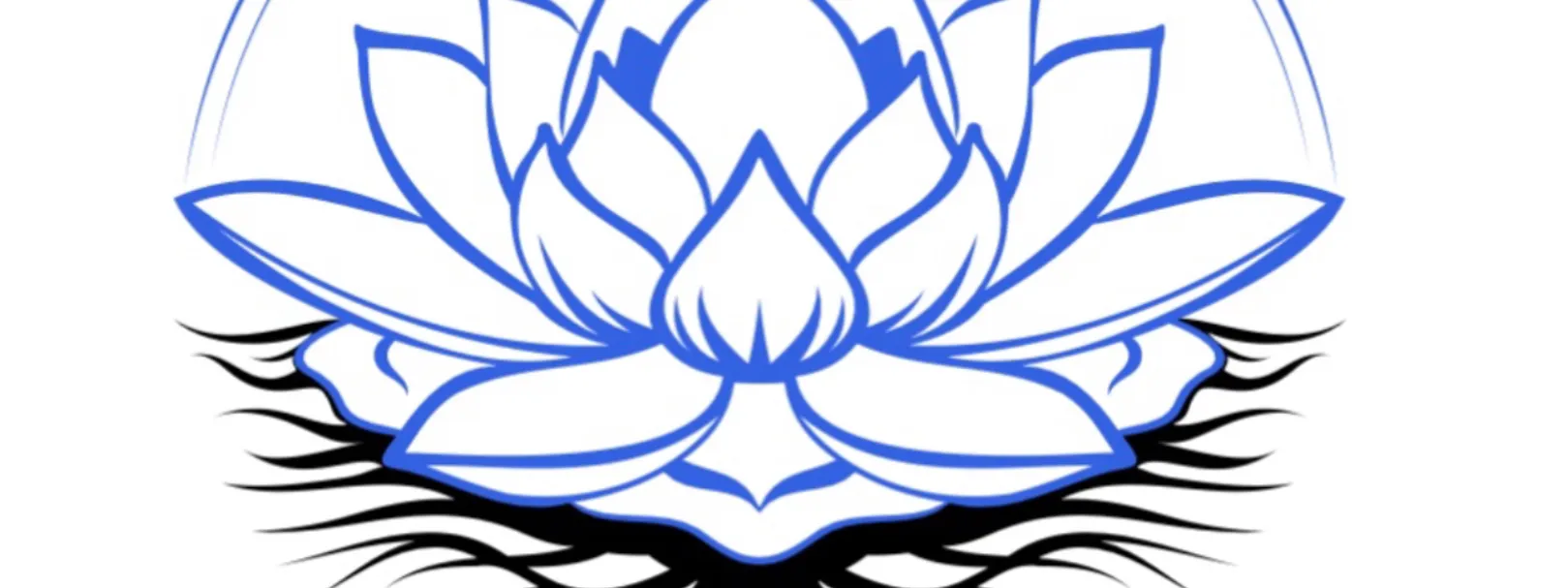 profile banner
