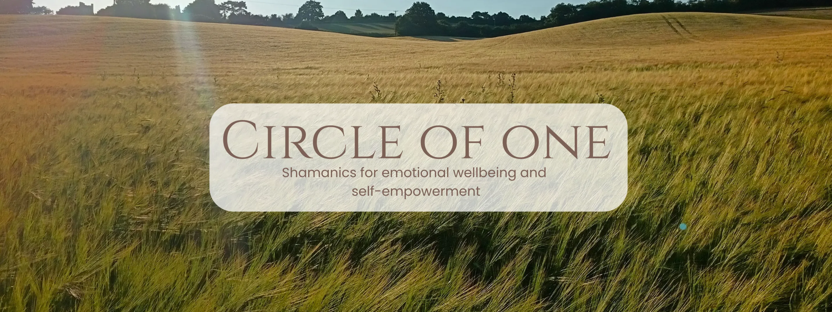 profile banner