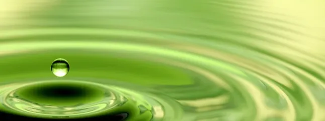 profile banner