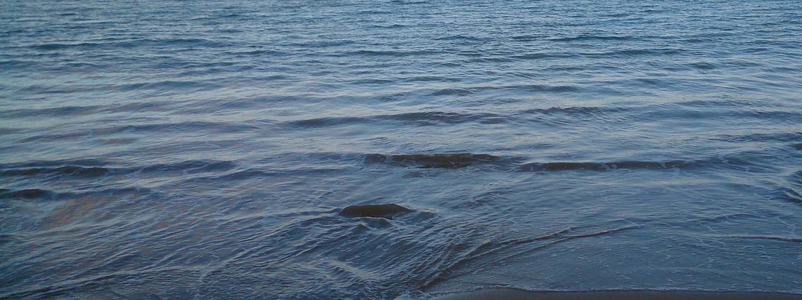 profile banner